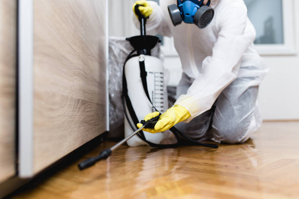  Gastonia, NC Pest Control Pros