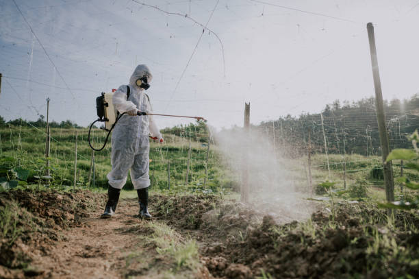 Best Pest Prevention Services  in Gastonia, NC