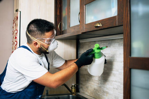 Best Rat Extermination Near Me  in Gastonia, NC