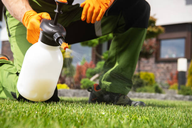 Best Insect Control  in Gastonia, NC