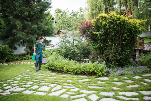 Professional Pest Control in Gastonia, NC