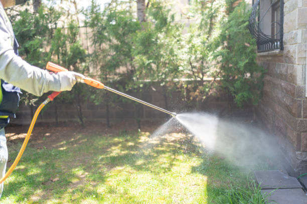 Best Insect Control  in Gastonia, NC