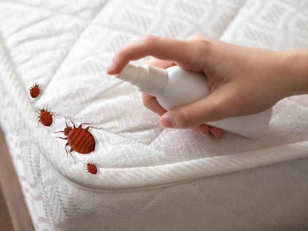 Best Best Pest Control Companies  in Gastonia, NC
