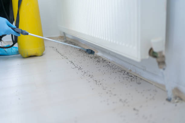  Gastonia, NC Pest Control Pros