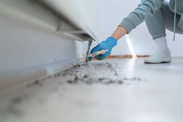 Best Pest Control Near Me in Gastonia, NC